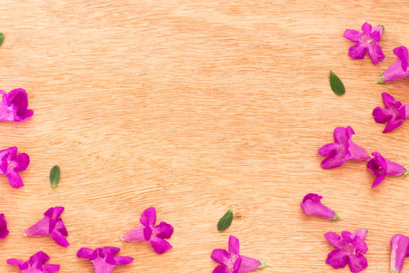 Beautiful purple flowers  on the wooden background,Spring break,Spring fashion background,Spring flowers background,Spring wallpaper ,Spring weddingの写真素材