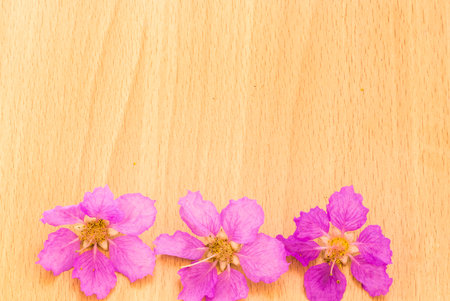 Beautiful purple flowers blooming on the wooden background,Spring break,Spring fashion background,Spring flowers background,Spring wallpaper ,Spring weddingの写真素材