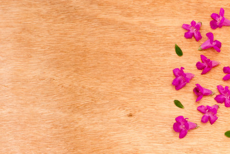 Beautiful purple flowers  on the wooden background,Spring break,Spring fashion background,Spring flowers background,Spring wallpaper ,Spring weddingの写真素材
