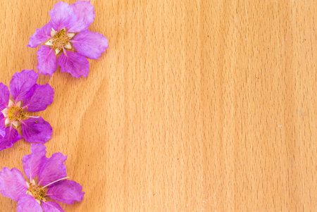 Beautiful purple flowers blooming on the wooden background,Spring break,Spring fashion background,Spring flowers background,Spring wallpaper ,Spring weddingの写真素材