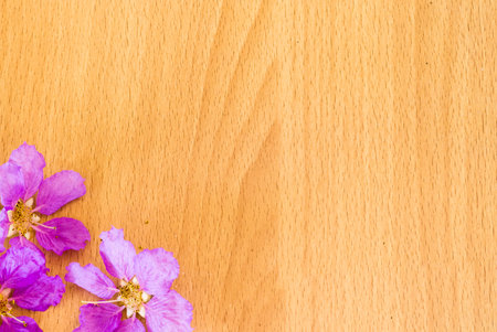 Beautiful purple flowers blooming on the wooden background,Spring break,Spring fashion background,Spring flowers background,Spring wallpaper ,Spring weddingの写真素材