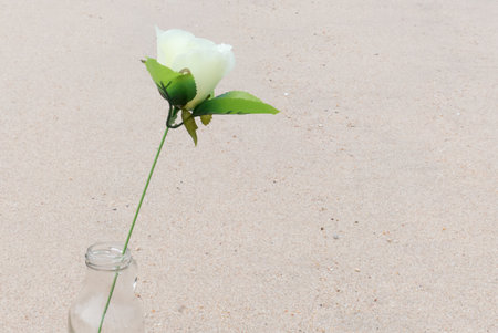 Close up yellow rose flower in to the bottle  on a background of beach sand. Summer love backgroundの写真素材