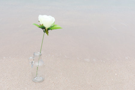 Yellow rose flower in to the bottle  on a background of beach sand. Summer love backgroundの写真素材