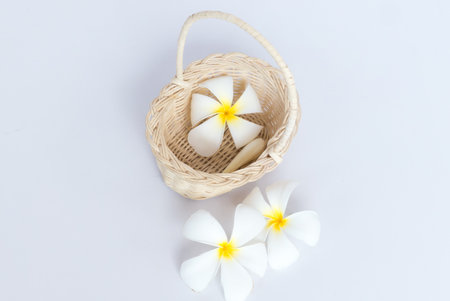 White frangipani (plumeria) flower in wood basket  isolated on white background.Spa composition for backgroundの写真素材
