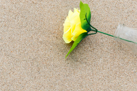Close up yellow rose flower in to the bottle  on a background of beach sand. Summer love backgroundの写真素材