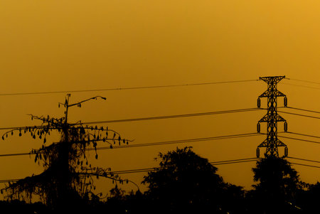 Electric pole high voltage silhouette and evening time,For business design background