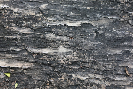 old stone backgroundの写真素材