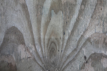 old wood backgroundの写真素材