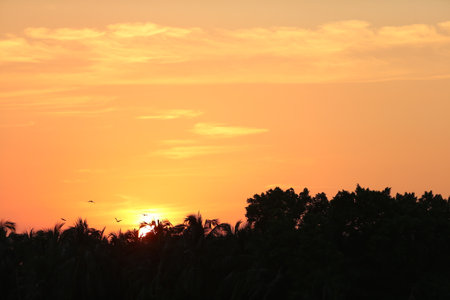 sunset in mountainsの写真素材