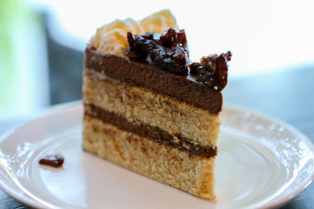 piece of chocolate cake on a plate