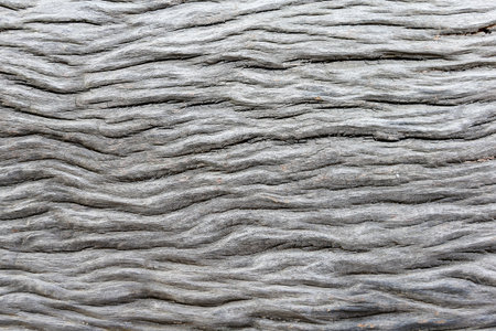 texture of bark of an old treeの写真素材