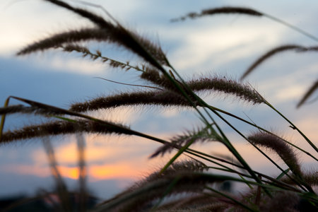 sunset over lakeの写真素材