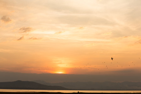 sunset over lakeの写真素材