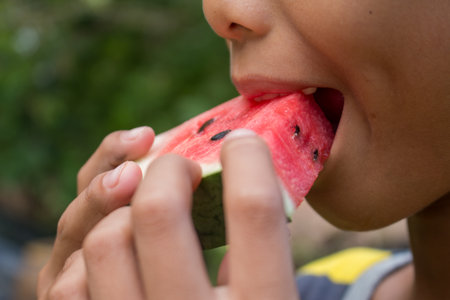 Close up of the boy is eating watermelon on green nature background.の写真素材