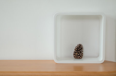 Pine cone in white frame stay on wooden table with many copy space.