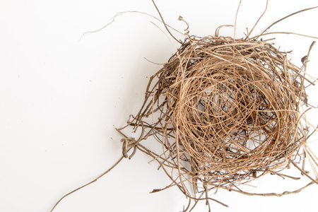 Old bird's nest on white background.