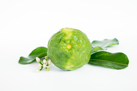 Kaffir Lime fruits on white background, bergamot fruits.の写真素材