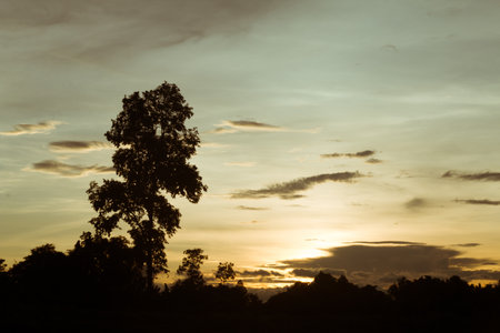 Twilight sky and rainy cloud with tree. High level of noise. Night sky with cloud.の写真素材