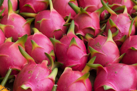 Soft focused of dragon fruit.の写真素材