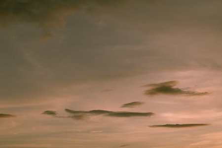 Twilight sky and rainy cloud with tree. High level of noise. Night sky with cloud.の写真素材