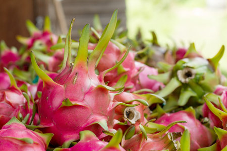 Red dragon fruit.の写真素材