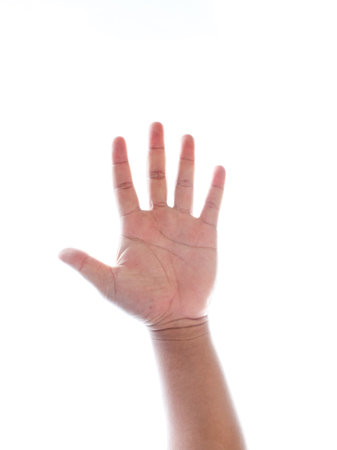 Raising hands isolated on white background.の写真素材