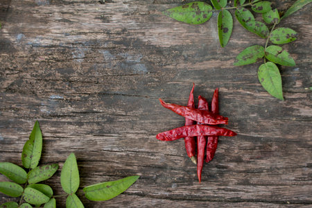 Dried red chilly pepper on wooden panel.の写真素材