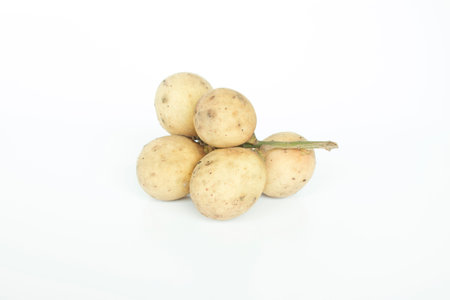 Longkong fruit or Lansium parasiticum.の写真素材