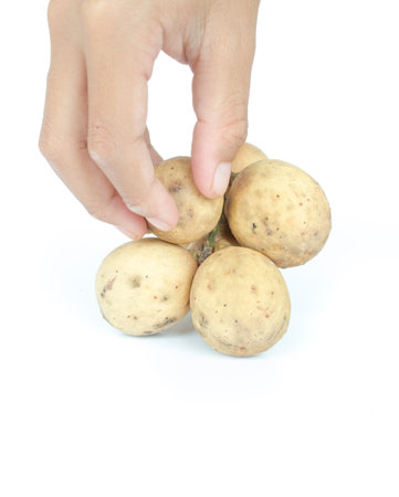 Longkong fruit or Lansium parasiticum.の写真素材