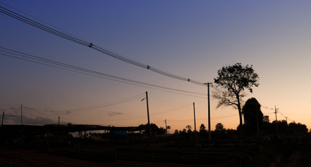 Landscape of power line with sun rise and blue sky background silhouette picture.の写真素材
