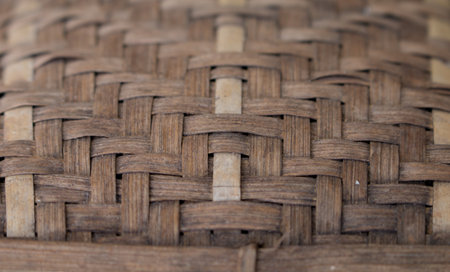 bamboo texture background.