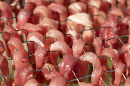 Closeup of Dried meat.の写真素材