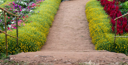 Blurred of landscape flower garden for background.の写真素材