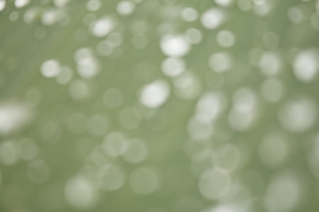 Blurred of green babana leaf with water drops make more bokeh for using soft focus natural background.の写真素材