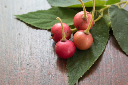 Closeup of Jamaican cherry on wooden board.の写真素材