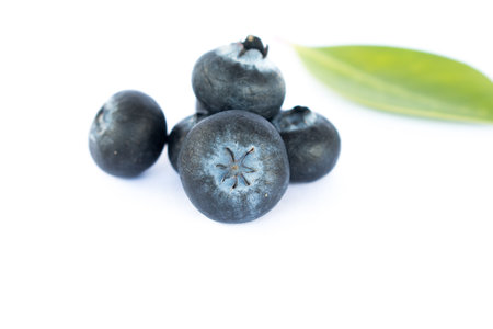 Fresh blueberry on white background.の写真素材