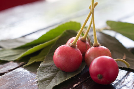 Closeup of Jamaican cherry on wooden board.の写真素材