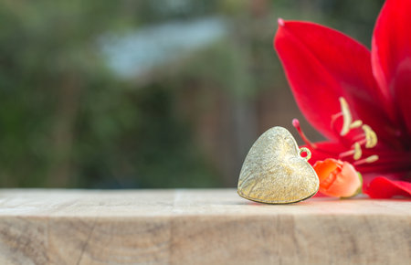 Hearts and red flower design for love, wedding and valentine's day background.の写真素材
