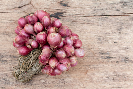 Fresh Purple Shallots.の写真素材