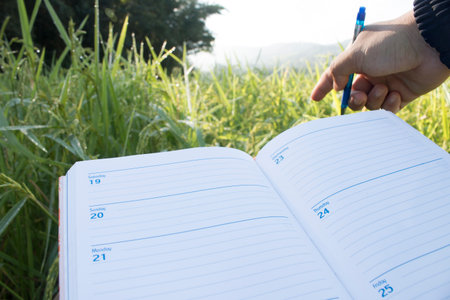 Hand holding a pen and clipboard with blank paper (document, report) checking rice growth.