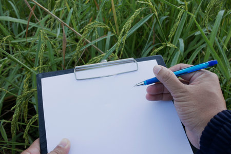Hand holding a pen and clipboard with blank paper (document, report) checking rice growth.の写真素材