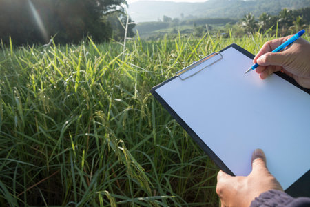 Hand holding a pen and clipboard with blank paper (document, report) checking rice growth.の写真素材