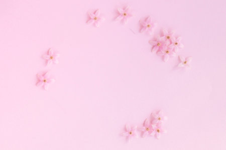 Little pink flower pattern on pink background.の写真素材