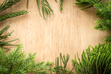 Branches arborvitae, Juniper branches on wood Christmas background.