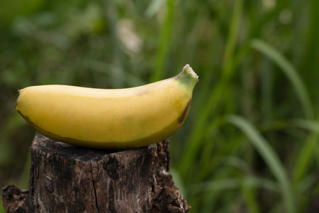 Close up of Fresh banana.の写真素材