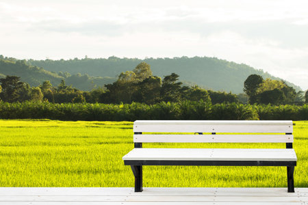 white chair with terrace outdoor for relax time.