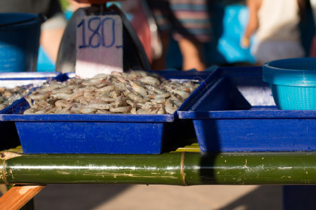 Close up of shrimps ready for sale at market.の写真素材