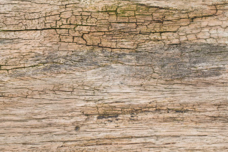 Old Wooden panel texture for background, vintage texture style.の写真素材