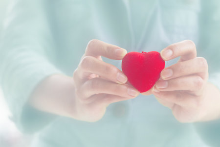 Decorative heart in woman hand, Valentine's day concept.の写真素材