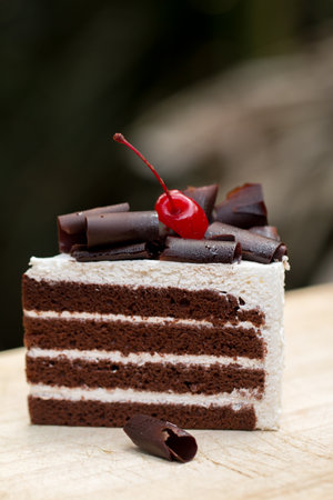 Piece of chocolate cake with vanilla frosting and cherry jelly, topped with white cheese.の写真素材
